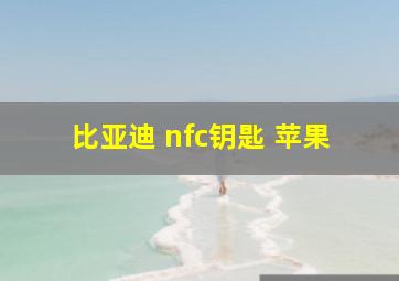 比亚迪 nfc钥匙 苹果